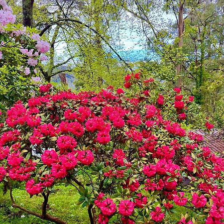 Melbourne Topview Villa In Dandenong Ranges Near Skyhigh Kalorama エクステリア 写真