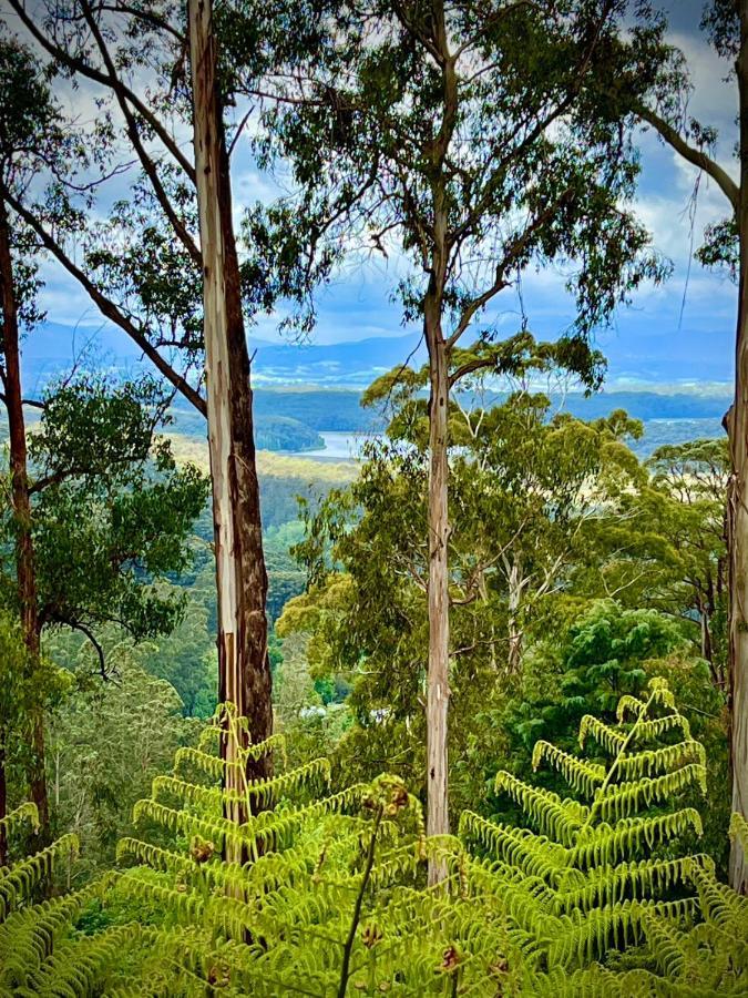 Melbourne Topview Villa In Dandenong Ranges Near Skyhigh Kalorama エクステリア 写真