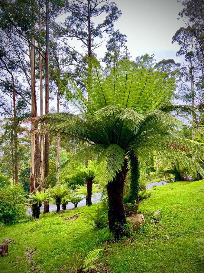 Melbourne Topview Villa In Dandenong Ranges Near Skyhigh Kalorama エクステリア 写真