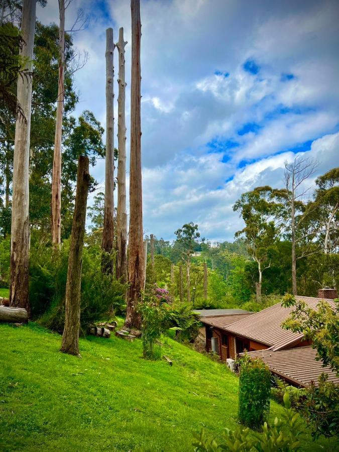 Melbourne Topview Villa In Dandenong Ranges Near Skyhigh Kalorama エクステリア 写真