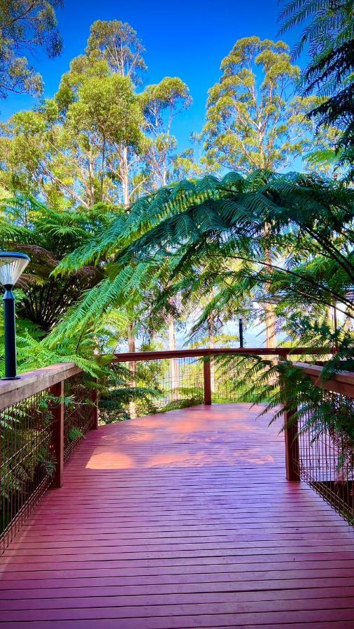 Melbourne Topview Villa In Dandenong Ranges Near Skyhigh Kalorama エクステリア 写真