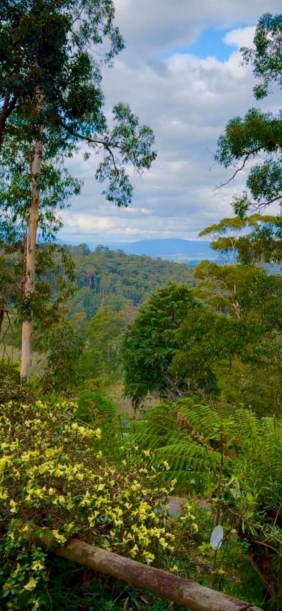 Melbourne Topview Villa In Dandenong Ranges Near Skyhigh Kalorama エクステリア 写真