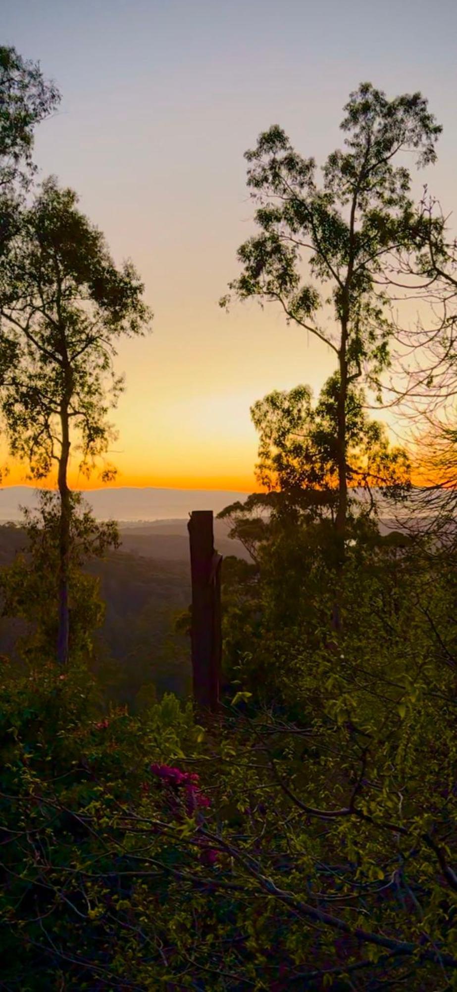 Melbourne Topview Villa In Dandenong Ranges Near Skyhigh Kalorama エクステリア 写真