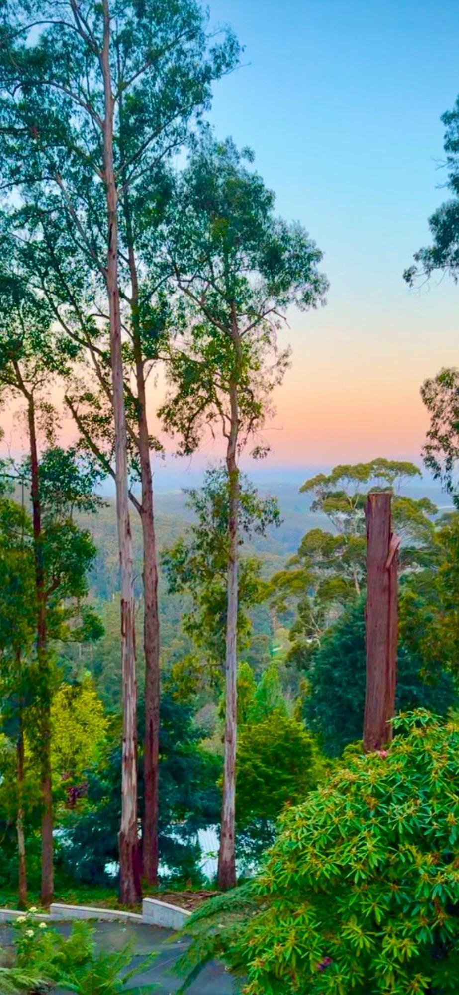 Melbourne Topview Villa In Dandenong Ranges Near Skyhigh Kalorama エクステリア 写真