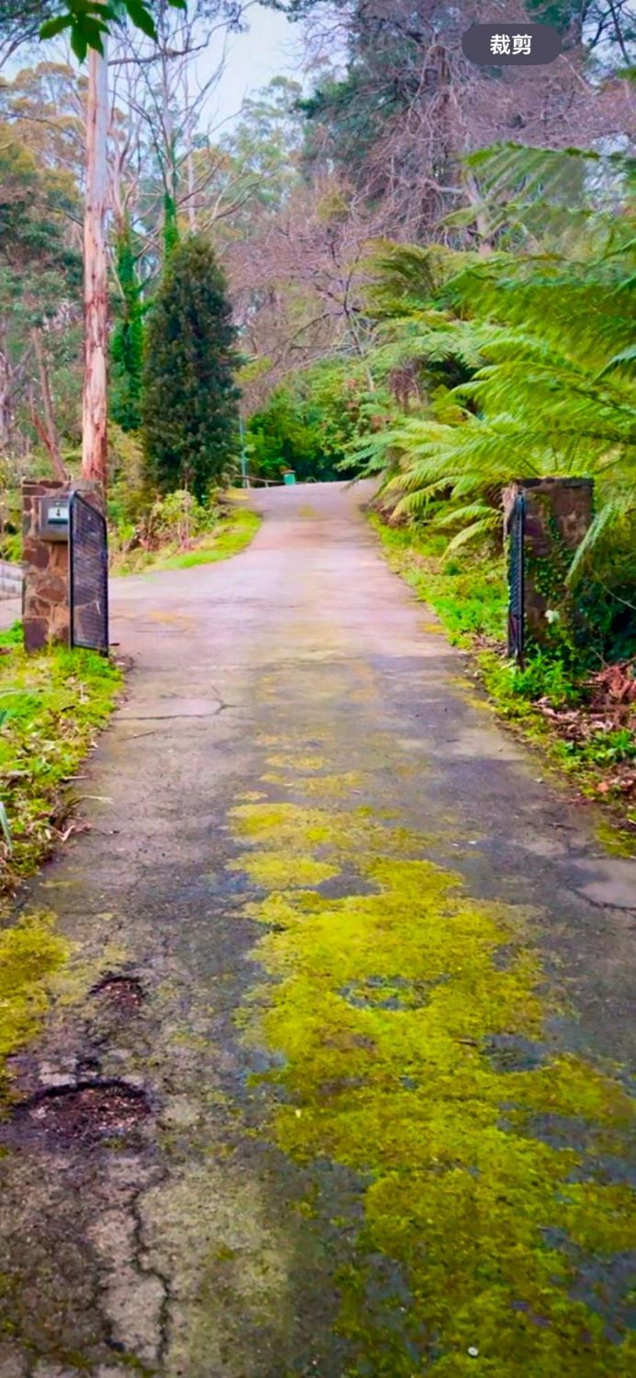 Melbourne Topview Villa In Dandenong Ranges Near Skyhigh Kalorama エクステリア 写真